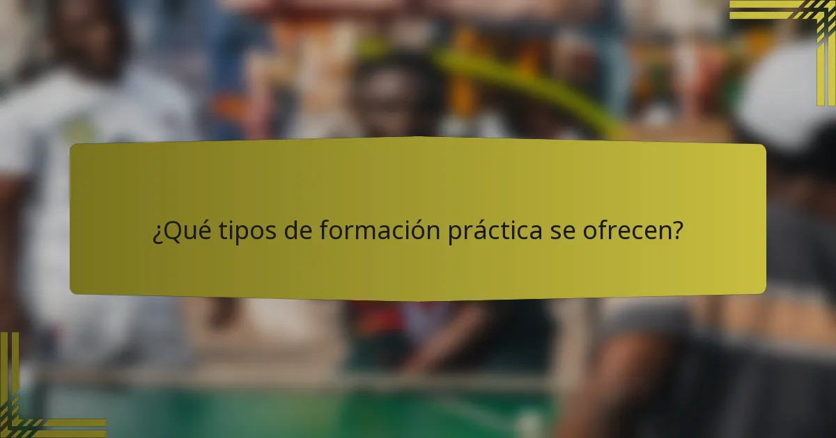¿Qué tipos de formación práctica se ofrecen?